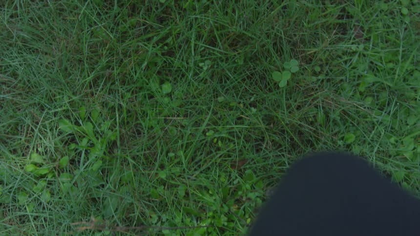 A person is walking in a grassland area
