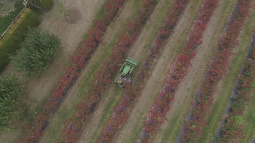 Birds eye view of a tractor in a field of crops
