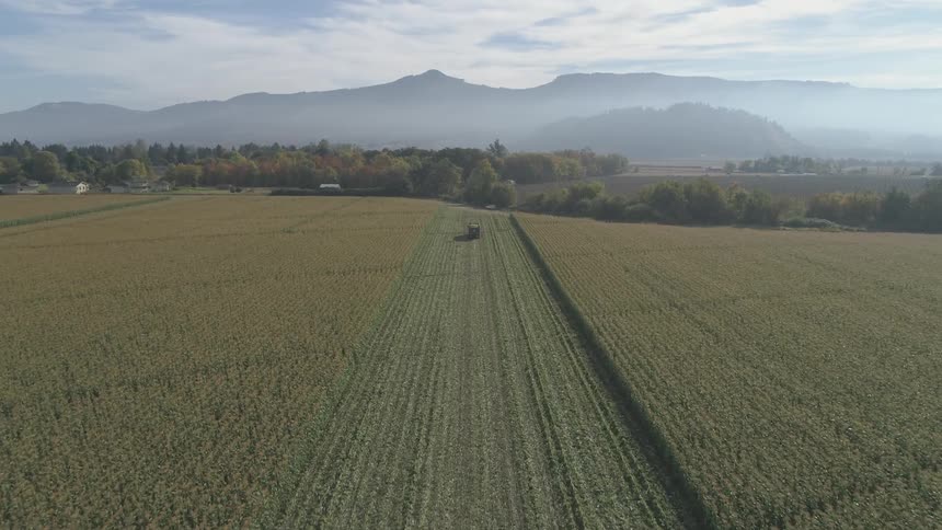 Aerial view of a tractor driving through a field of crops on a farm