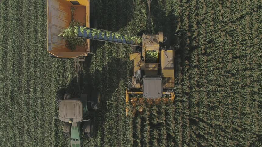 Aerial view of a combine harvester loading corn into a truck pulled by a tractor on a field in a farm