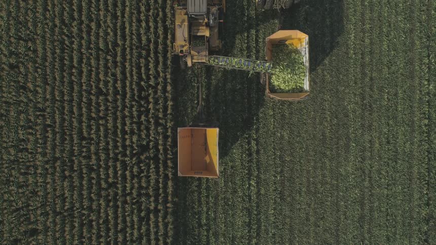 Harvester deposits crop harvest into receptacle towed by tractor