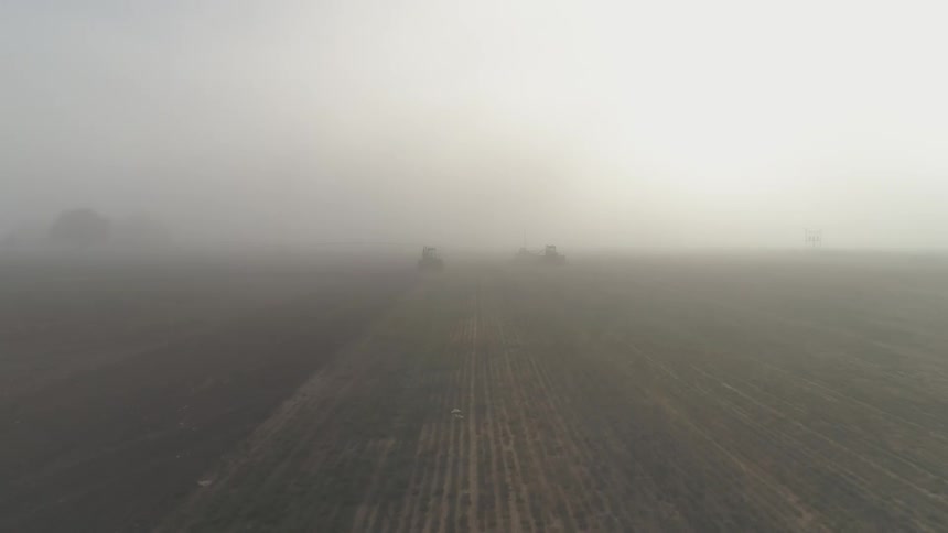 Fog sets over a large field of crops