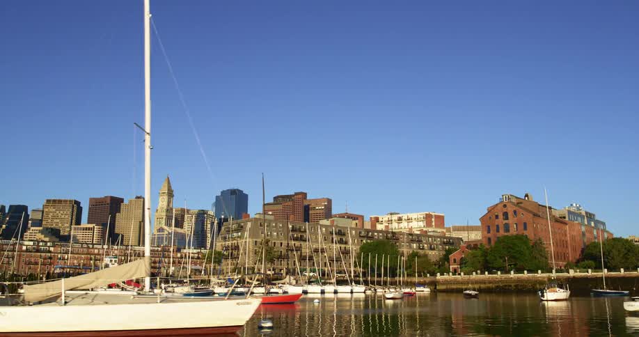Yachts and boats in a marina on a waterfront city skyline under a blue sky