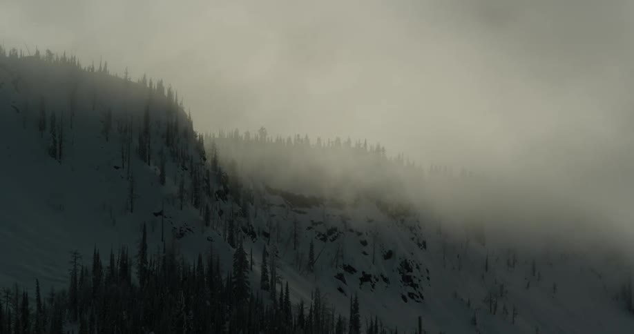 Snow blowing over a snow covered forest