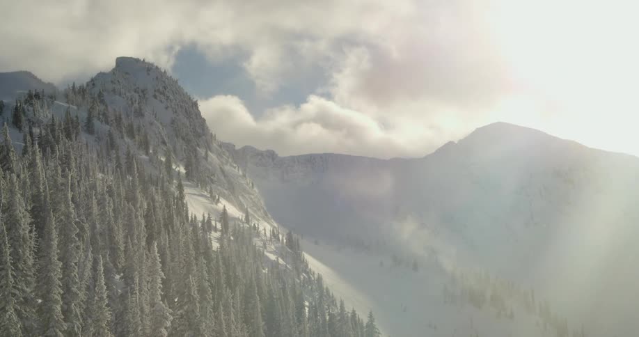 Snow falls in pine forest covered mountain range