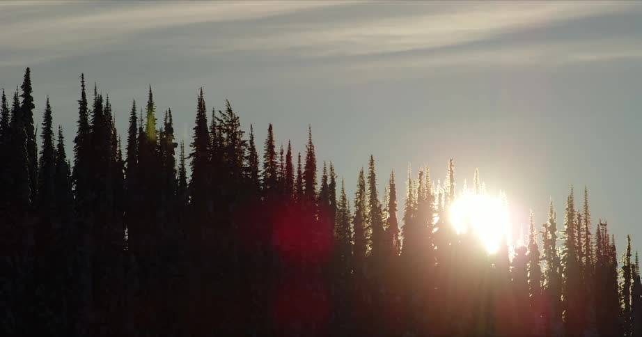 Time lapse of the sun rising over a forest