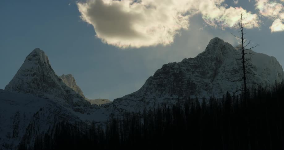 A forest with a snow covered mountain range with the sky and clouds in the background