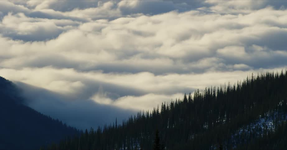 Time lapse of clouds rolling over a valley near the pine forest on the mountain