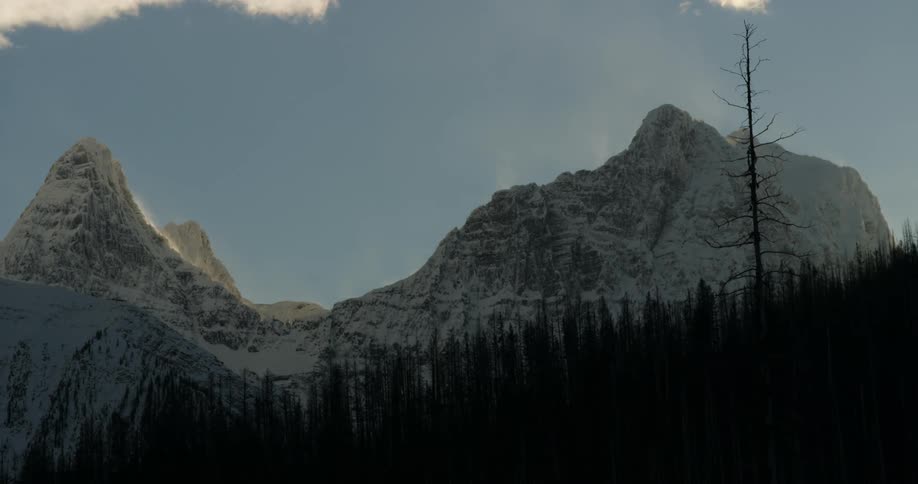 Snowy rugged mountain peaks above pine forest