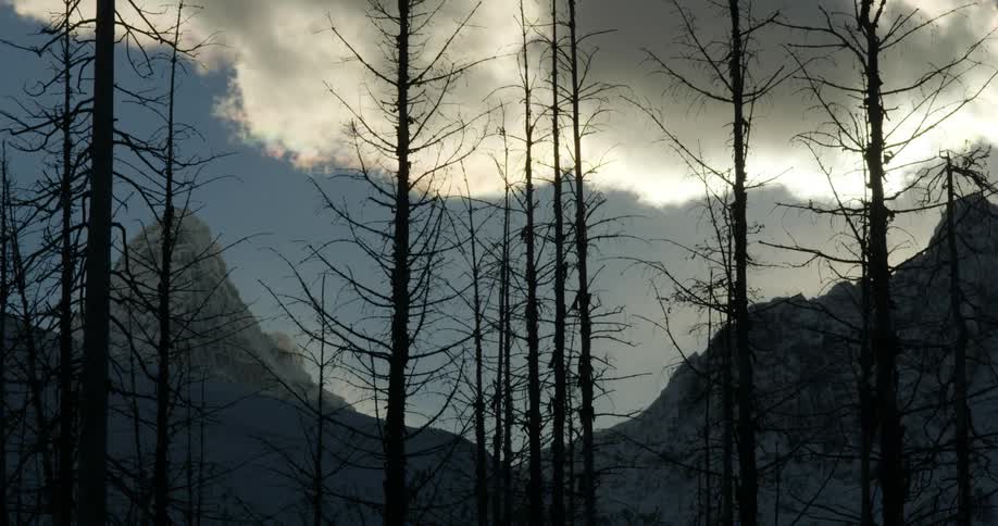 Clouds floating over mountains and bare trees in a forest