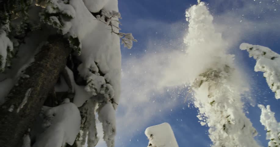 A skier jumping through pine trees in a snowy forest