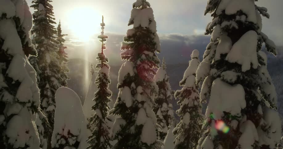 A person with a backpack skiing and jumping with snow covered trees in the foreground