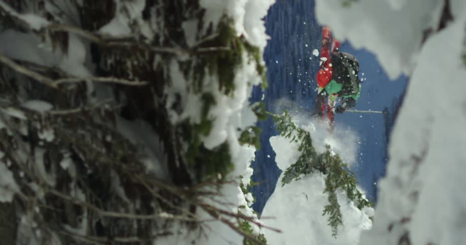 Skier makes jump behind pine trees in mountain forest