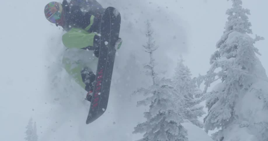 A snowboarder bumps a tree as they fly through the air before landing in deep snow on a mountain slope