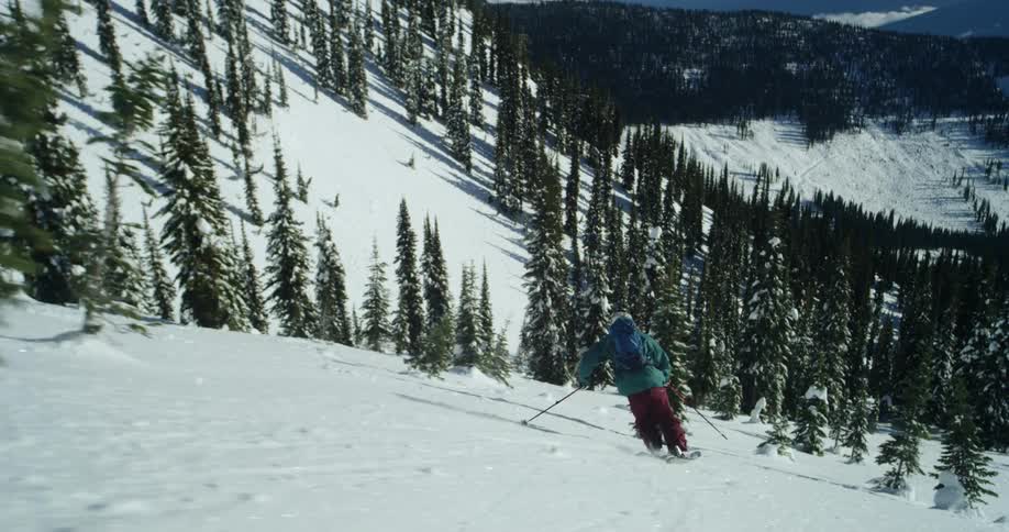 Person skiing on steep mountain slope through pine trees