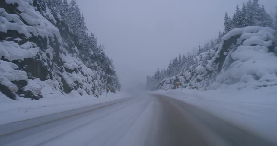 Driving on a forest road in a snowstorm