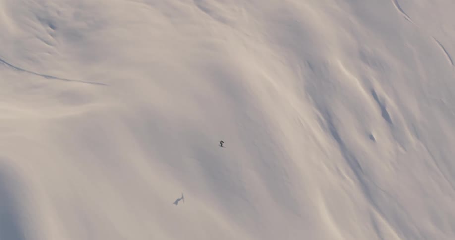 An aerial view of a skier gliding down a snowy mountainside