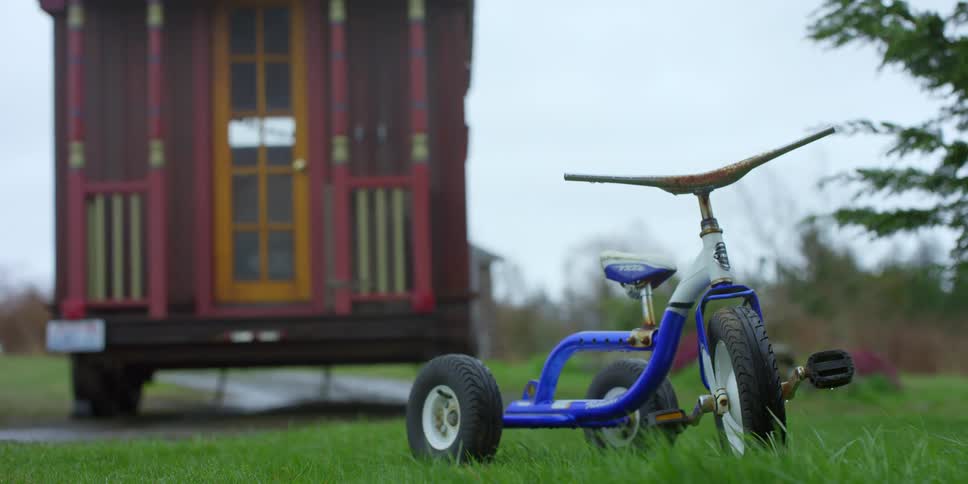 A tricycle on grass with a trailer the sky and trees in the background