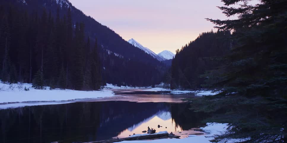Mountains and pine forest surrounding river at dawn