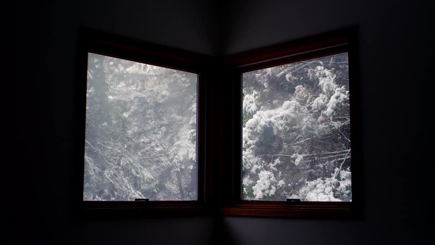 Snow falling over the trees seen through the windows of a house