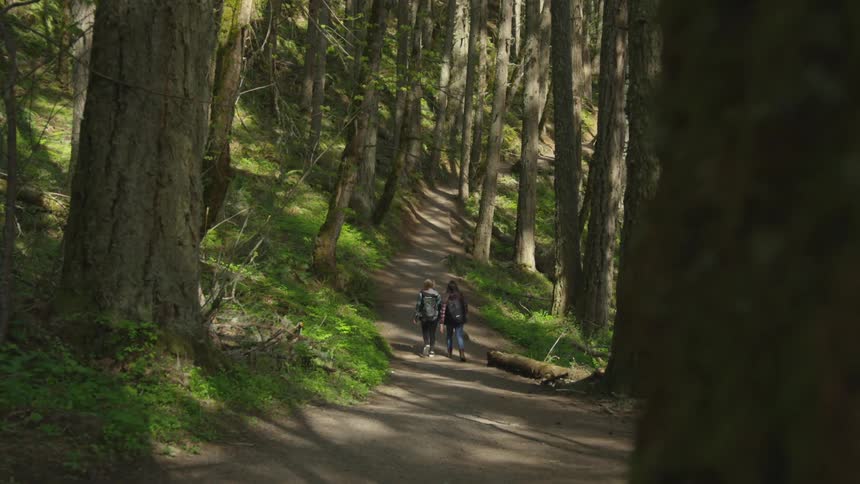 Two women with backpacks walk down a trail in the forest