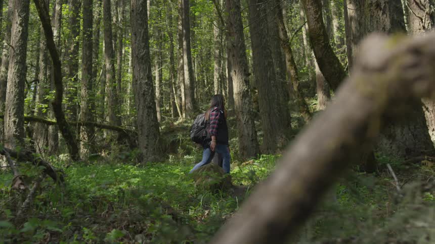 Two people hiking through a forest