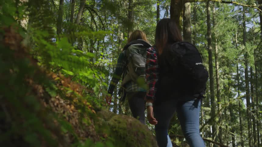 Two women are hiking through a forest