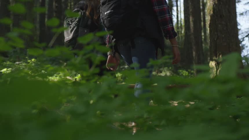 A pair of women hike through a woodland during the day