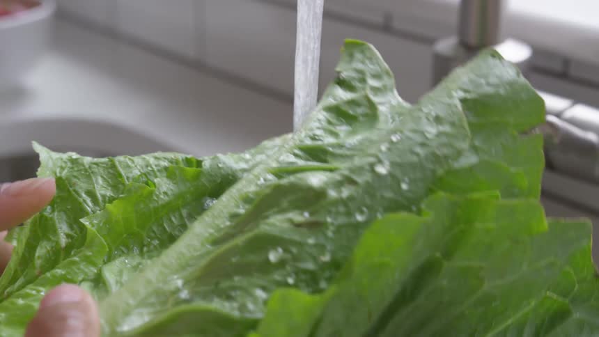 Womans hands wash romaine lettuce under the tap in the kitchen