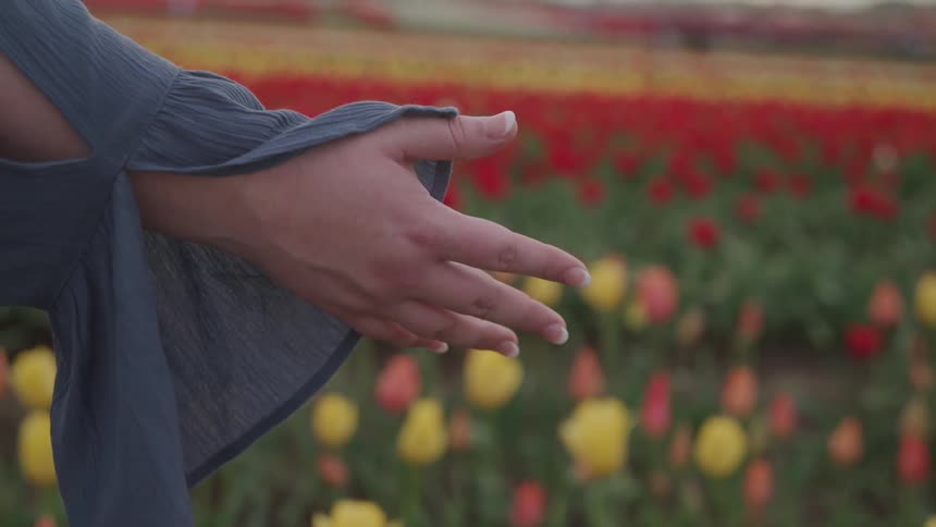 A woman is standing in a meadow of flowers