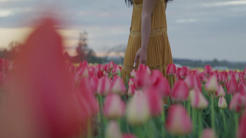 A woman walking through a field of tulips