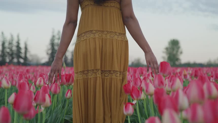 A woman is walking through a meadow of flowers
