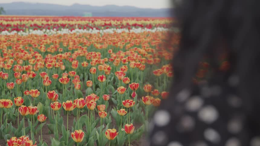 A woman is standing by a flower meadow