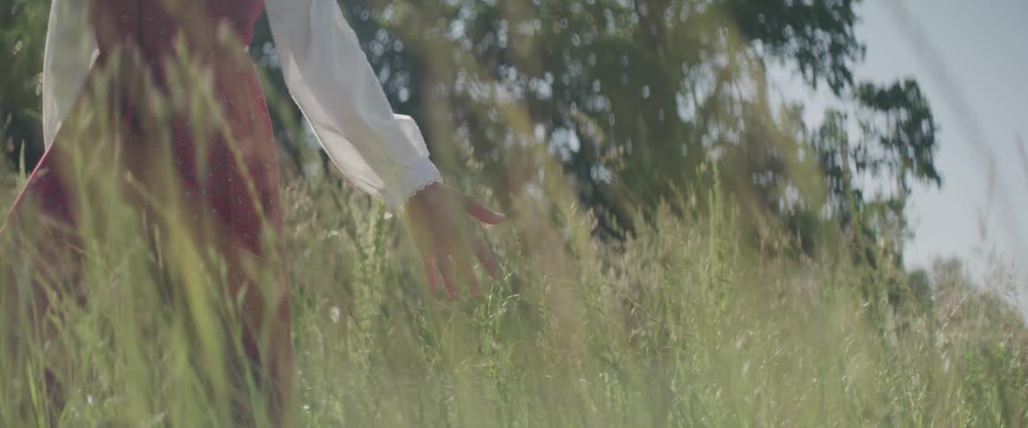 Woman walks through field of tall grasses reaching out to brush hand through stalks