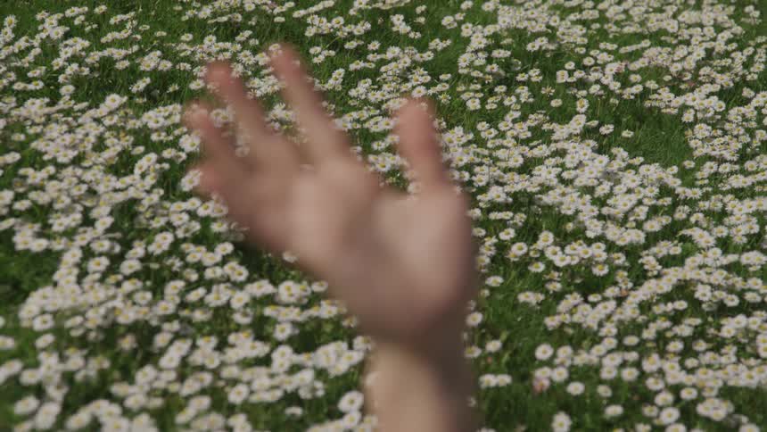 A persons raised hand in front of a field of flowers