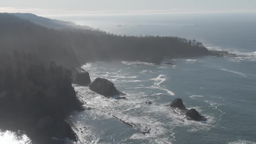 Rugged coastline with forest and small rocky islands in water