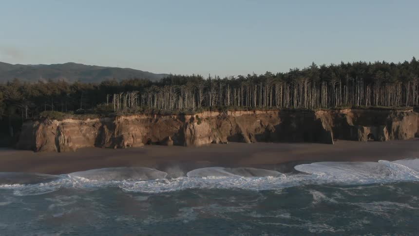 The coast off an island with some barren trees