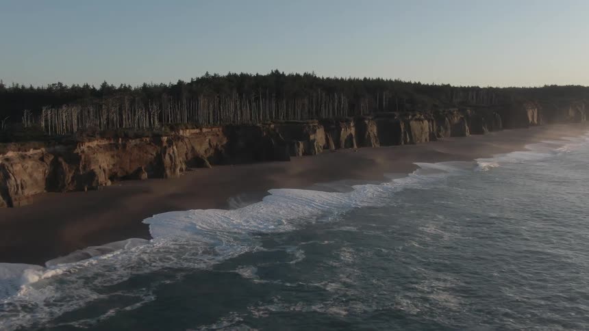 An aerial view of a forest off the coast and waves rolling in