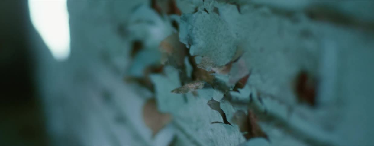 Dried leaves cling to the side of a gray brick wall
