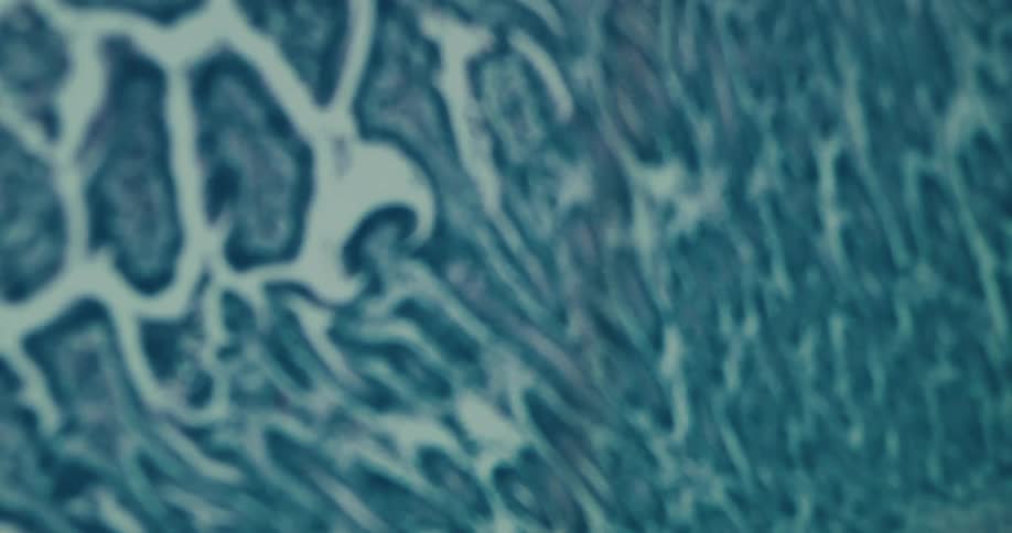 Close up of artwork