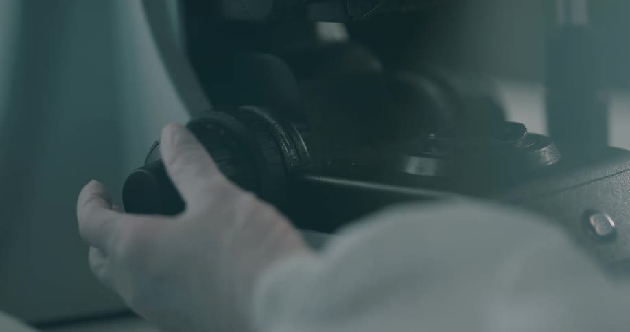 Hand adjusts focus knob on microscope