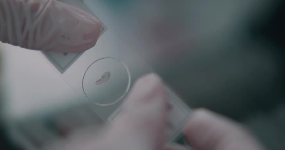 A technician wearing latex gloves picks up a sample inside a microscope slide