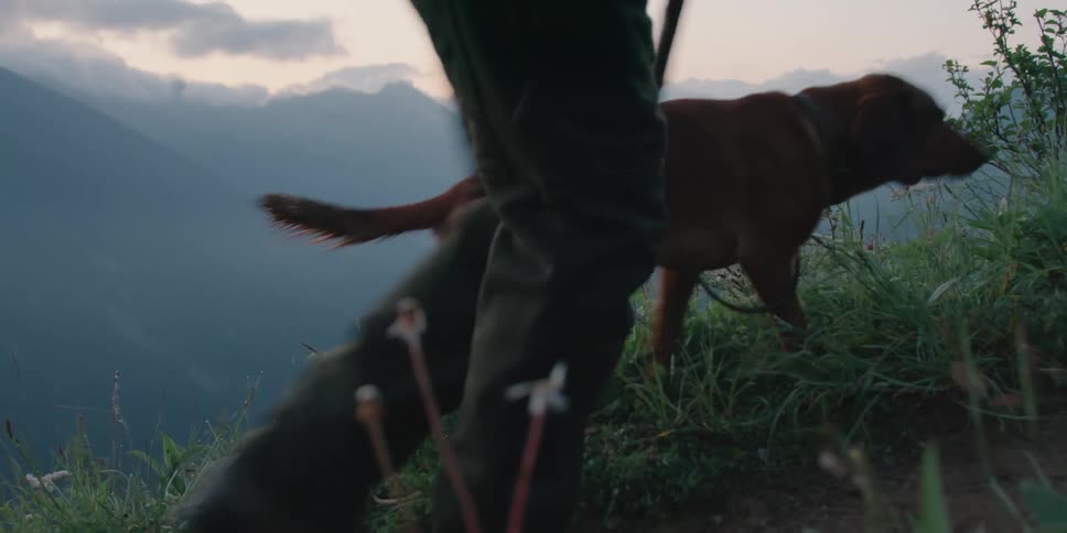 A man is hiking in the wilderness with his dog