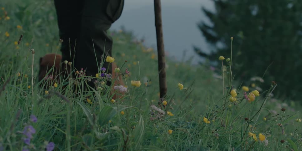 A man is hiking with his dog outdoors