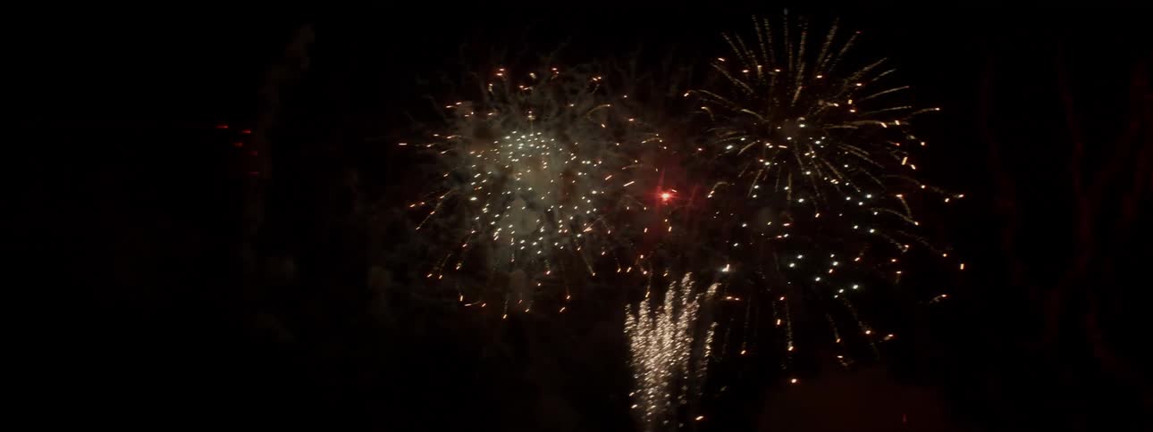 Fireworks exploding in the night sky