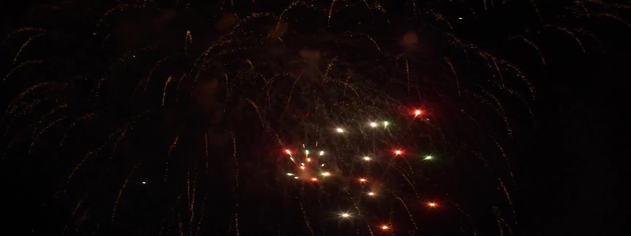 Fireworks exploding in a dark night sky