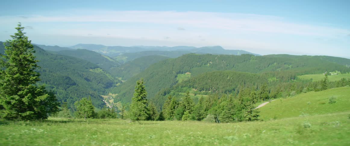 A landscape is displayed in spring