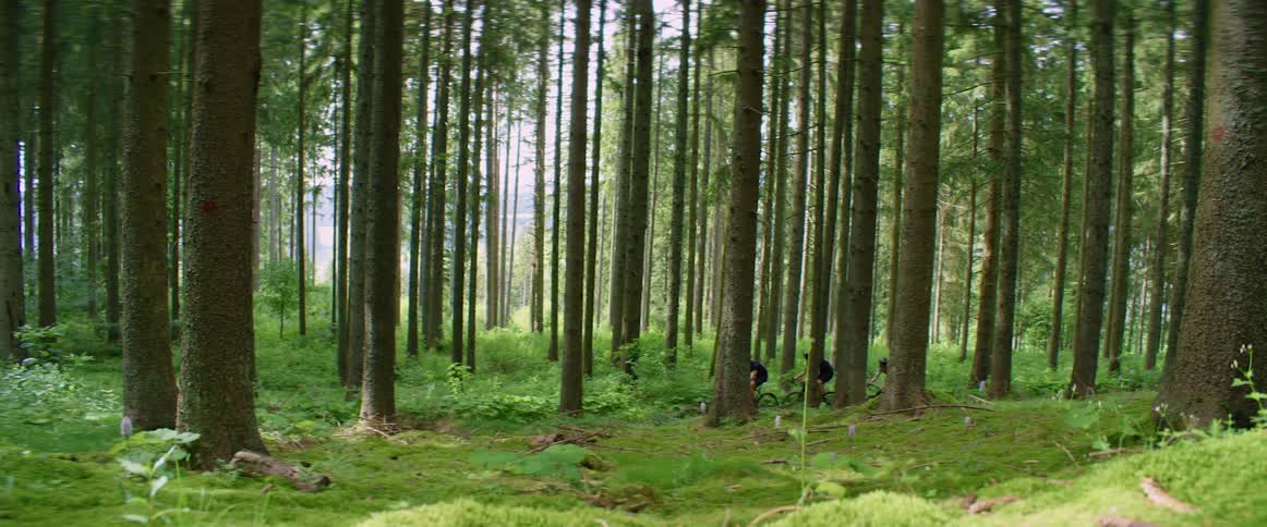 Group of three man ride mountain bikes o a trail through the forest