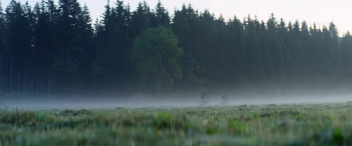 A pair of cyclists travel across a misty field bordering a forest during the day