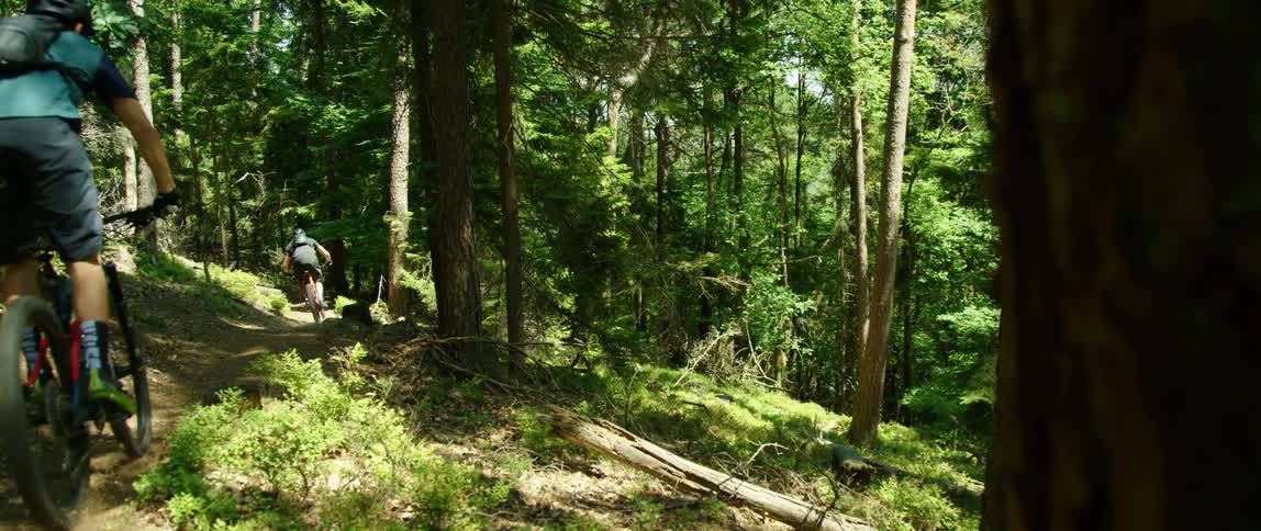 Two teenage boys riding their bikes in a forest
